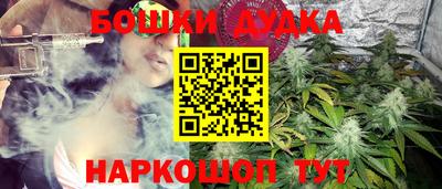 твердый Будённовск