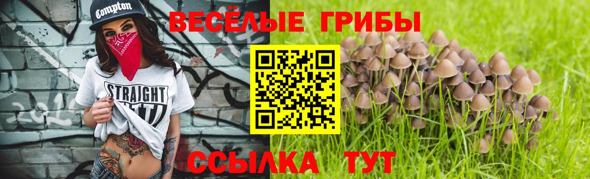 Псилоцибиновые грибы Cubensis  Псилоцибиновые грибы Psilocybe  Валуйки  Вход с VPN 